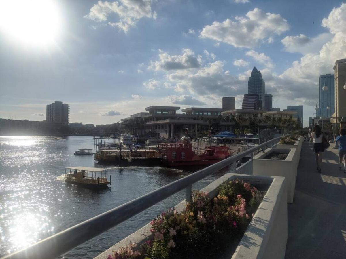 Bay Views From Your Balcony Beach Resort Tampa Eksteriør billede